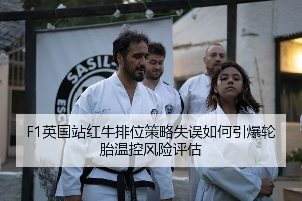 ying-guo-zhan-hong-niu-pai-wei-ce-lve-shi-wu-ru-he-yin-bao-lun-tai-wen-kong-feng-xian-ping-gu-2-381.jpg